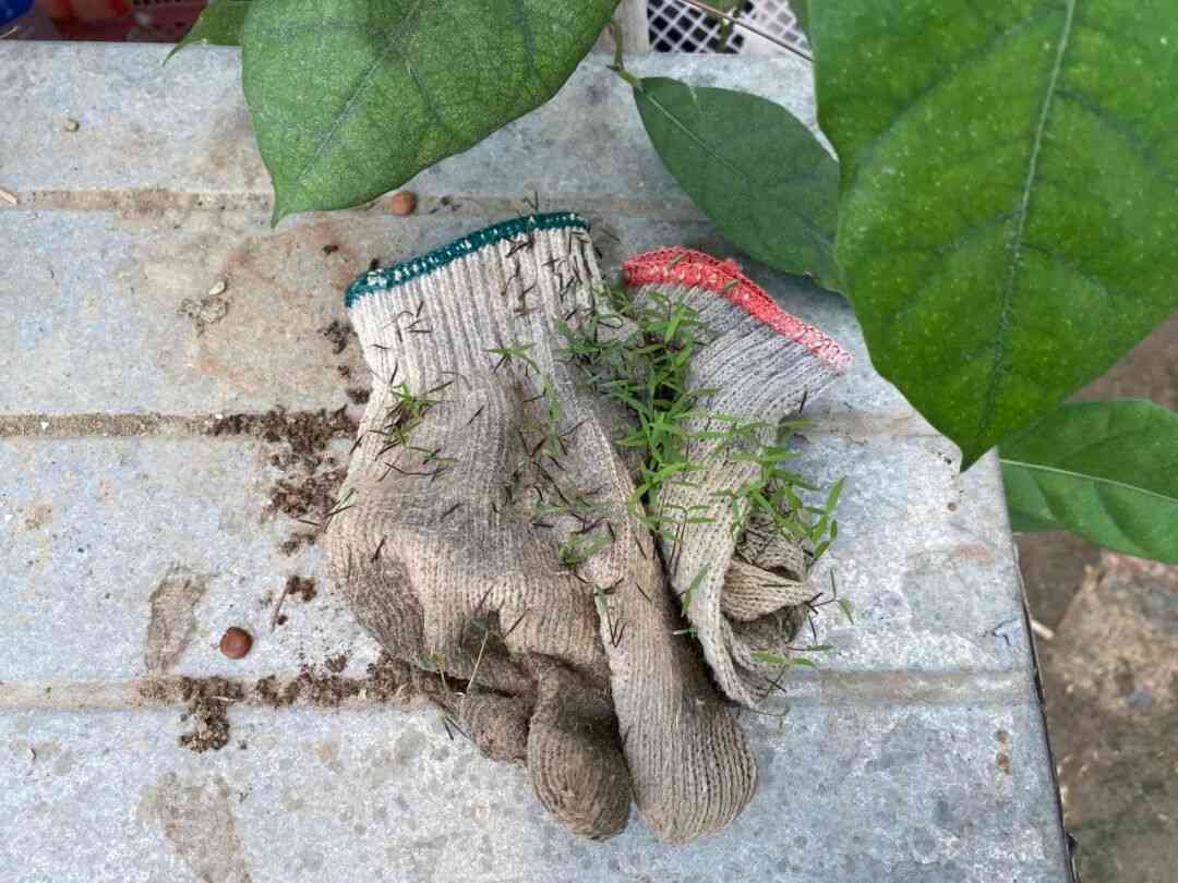 在地艺术实践|三位女性艺术家的社群联结与记忆捕捞(图9) 在地艺术实践|三位女性艺术家的社群联结与记忆捕捞(图9)