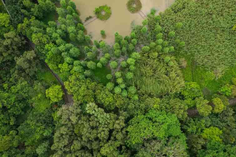 汇聚“共栖之岛”,第二届“永续之籽”教育计划面向全国高校创作者发起公开招募(图2) 汇聚“共栖之岛”,第二届“永续之籽”教育计划面向全国高校创作者发起公开招募(图2)