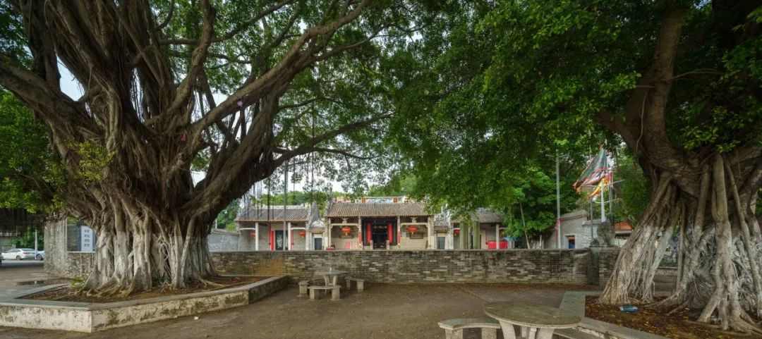 汇聚“共栖之岛”,第二届“永续之籽”教育计划面向全国高校创作者发起公开招募(图8) 汇聚“共栖之岛”,第二届“永续之籽”教育计划面向全国高校创作者发起公开招募(图8)