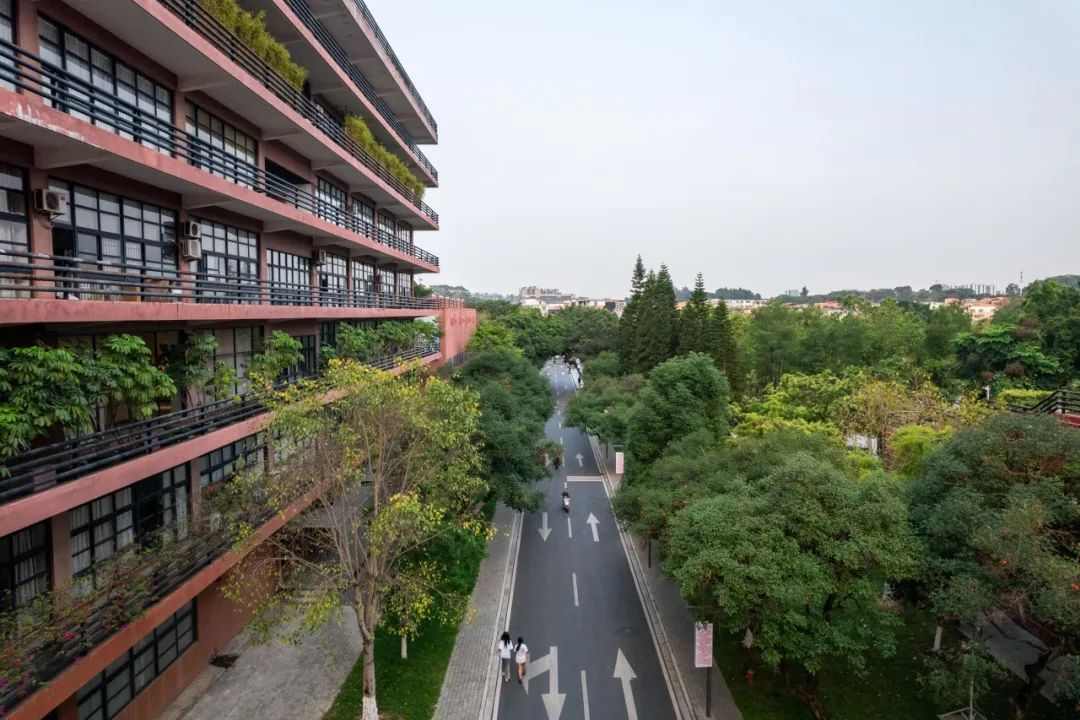 汇聚“共栖之岛”,第二届“永续之籽”教育计划面向全国高校创作者发起公开招募(图6) 汇聚“共栖之岛”,第二届“永续之籽”教育计划面向全国高校创作者发起公开招募(图6)