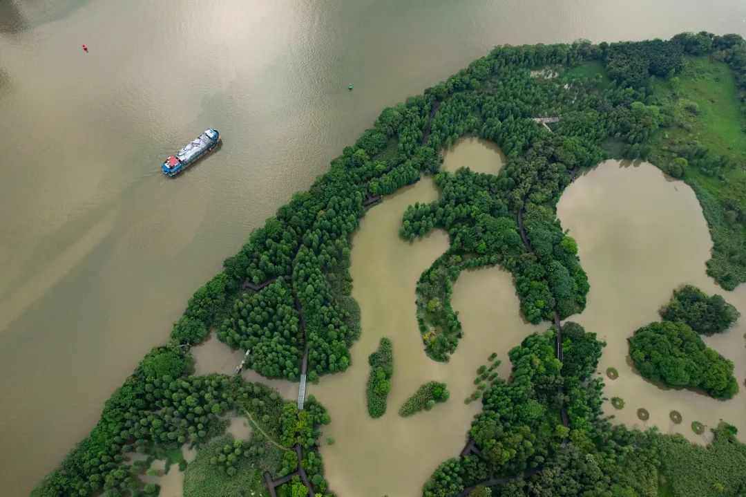 汇聚“共栖之岛”,第二届“永续之籽”教育计划面向全国高校创作者发起公开招募(图30) 汇聚“共栖之岛”,第二届“永续之籽”教育计划面向全国高校创作者发起公开招募(图30)