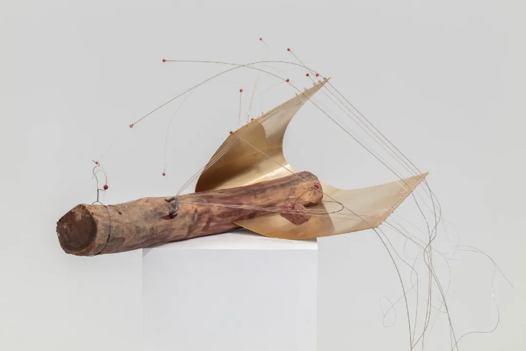 新艺见 | 经傲：洋葱炒到几分熟(图10)