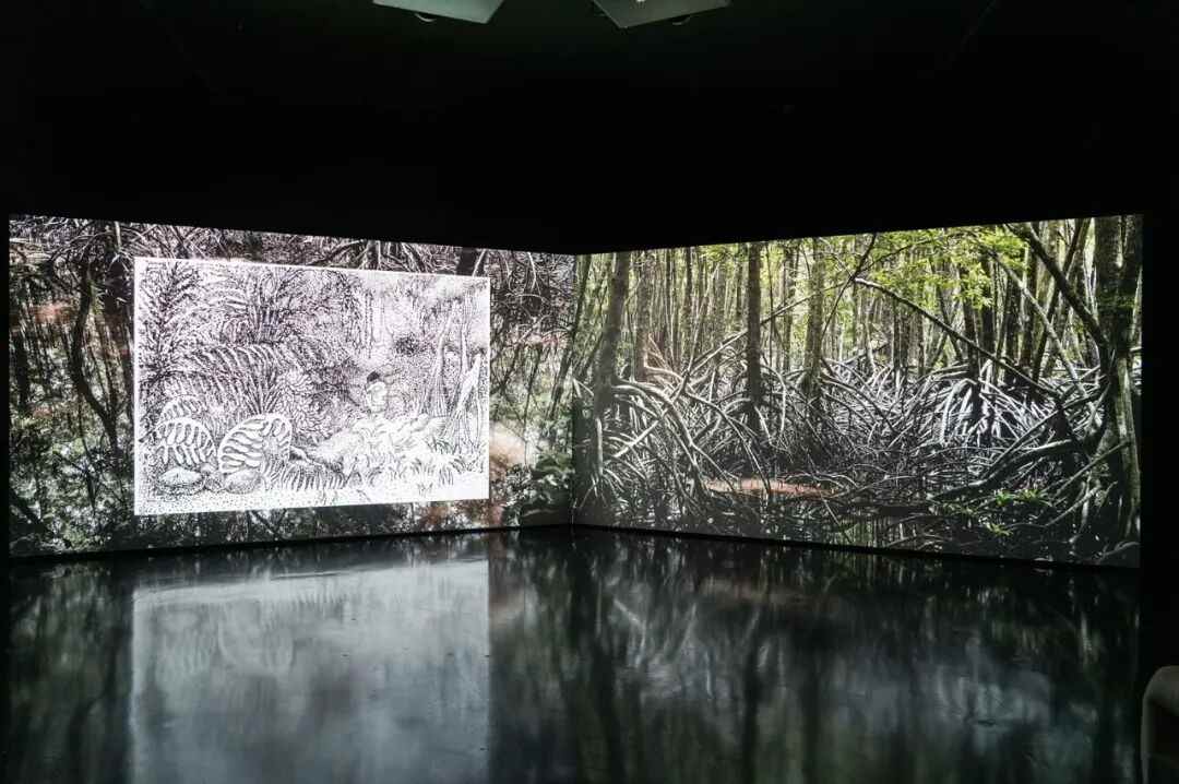 与济州岛海女同行的ikkibawiKrrr：如苔藓般在渐进中生长(图5)