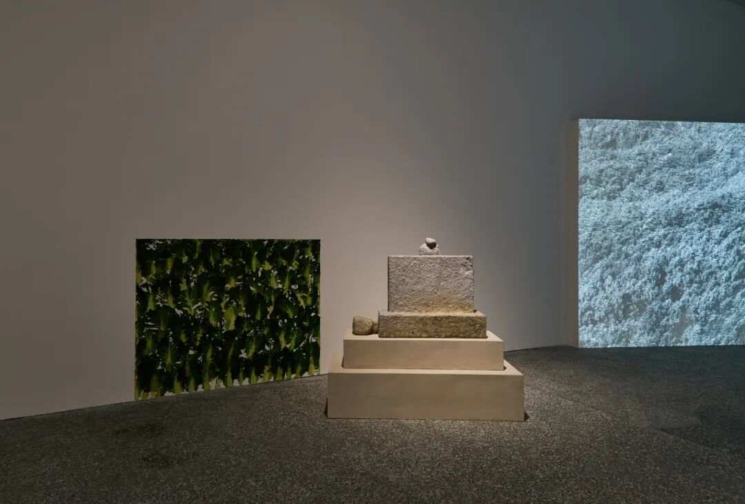 与济州岛海女同行的ikkibawiKrrr：如苔藓般在渐进中生长(图13)