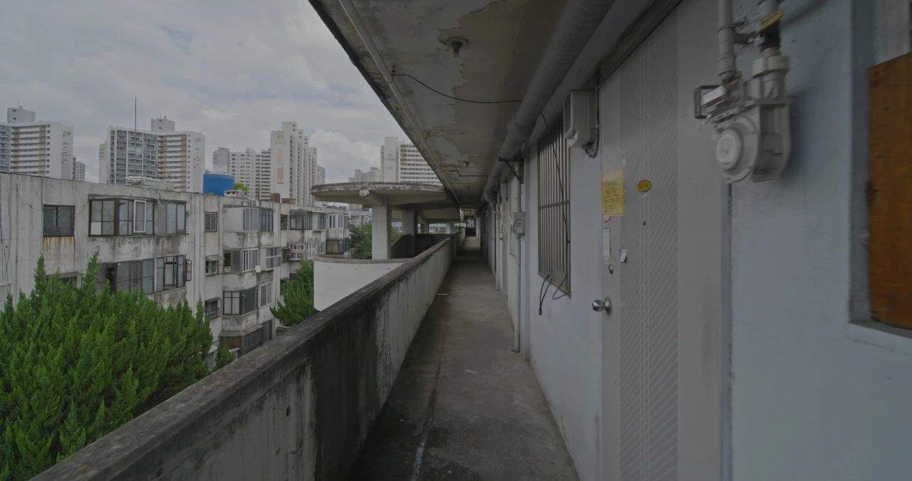 徐道获：游牧者家园的推想｜艺术创作全攻略(图14)