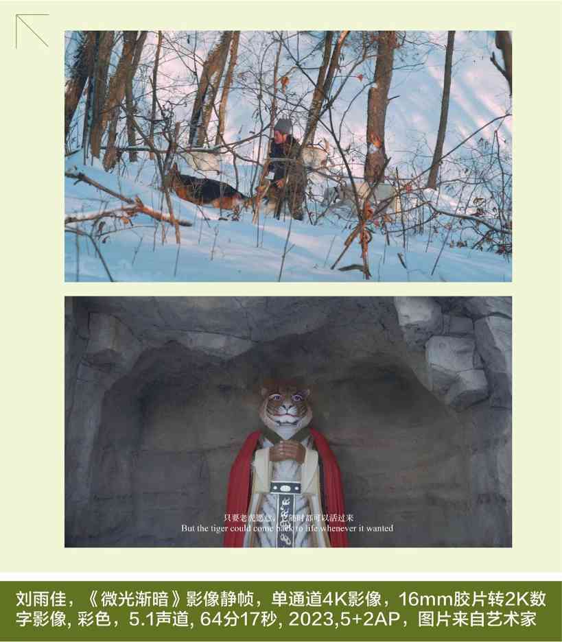 蘑菇、萨满与自然疗愈：艺术的灵性回归｜未来志异(图6)