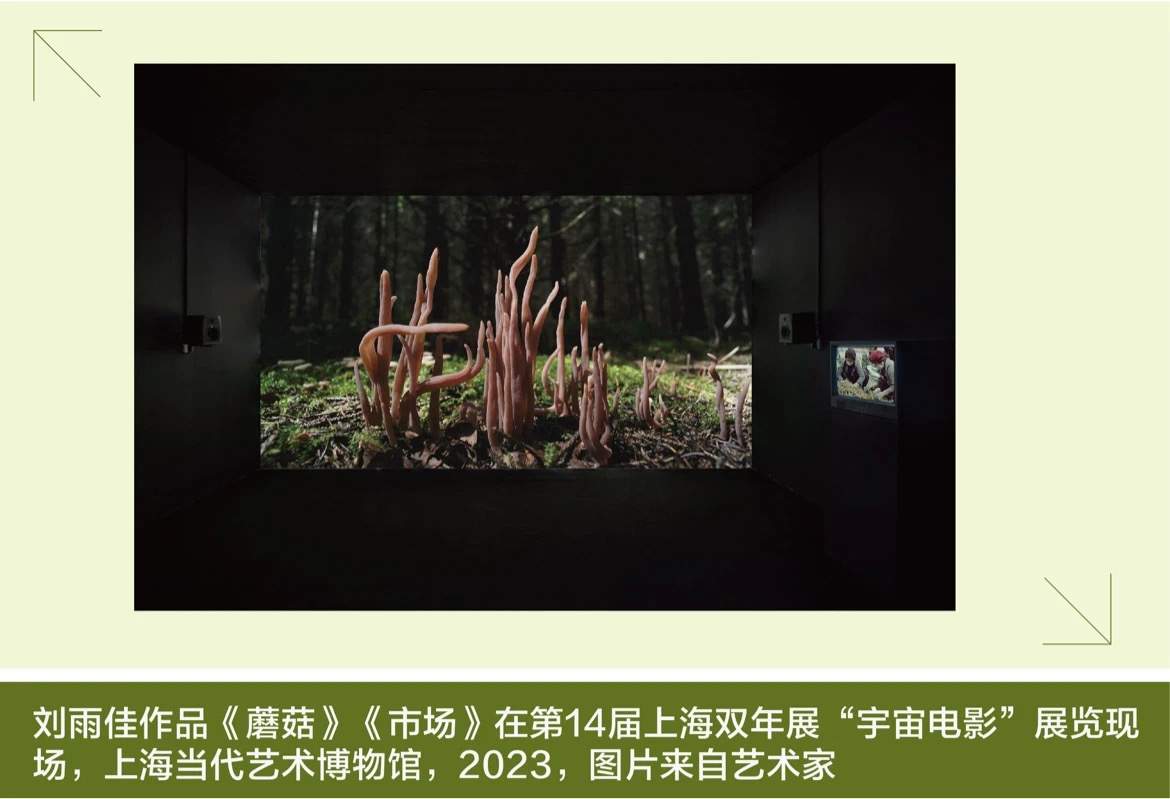 蘑菇、萨满与自然疗愈：艺术的灵性回归｜未来志异(图7)