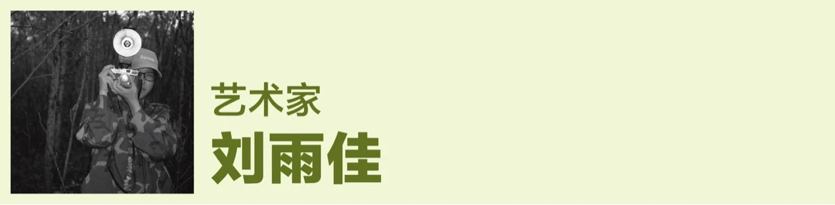 蘑菇、萨满与自然疗愈：艺术的灵性回归｜未来志异(图8)