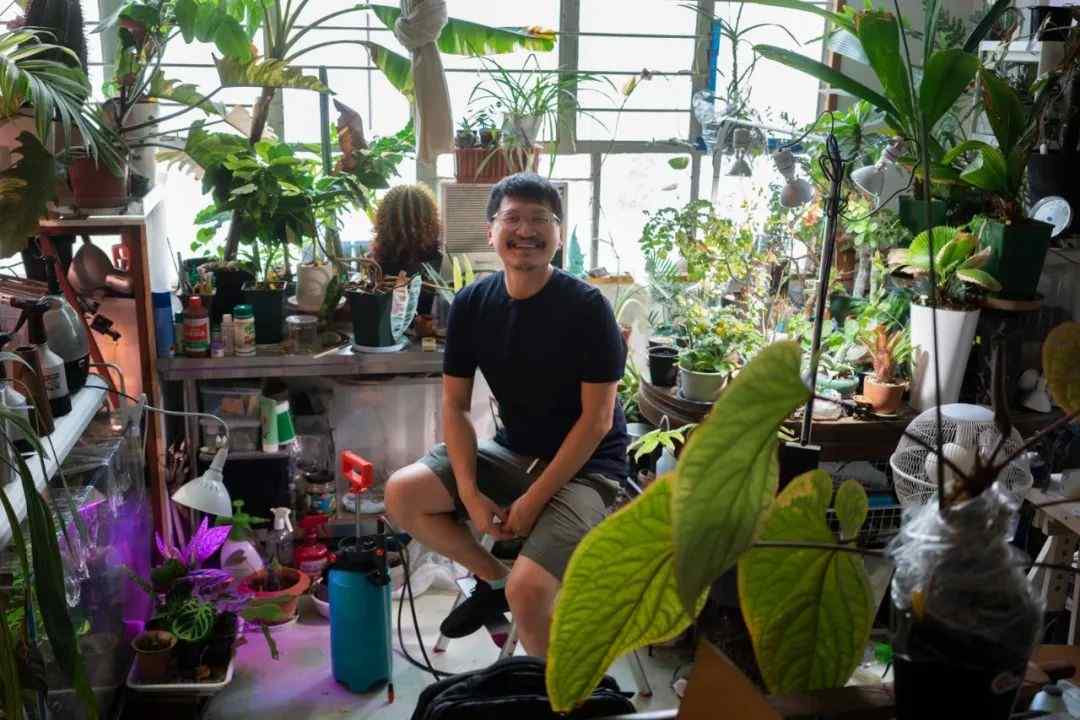 杨沛铿：植物与水族中的情感隐喻｜艺术创作核心技巧(图1)