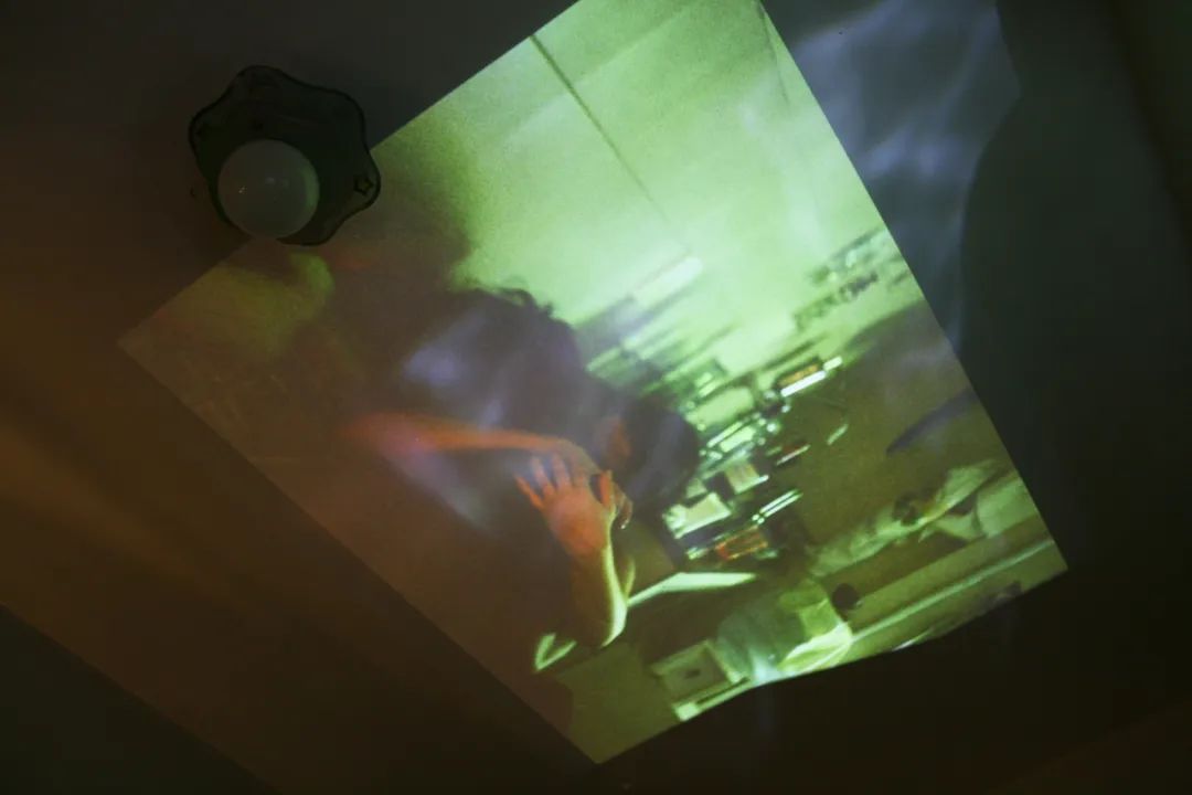 杨沛铿：植物与水族中的情感隐喻｜艺术创作核心技巧(图4)