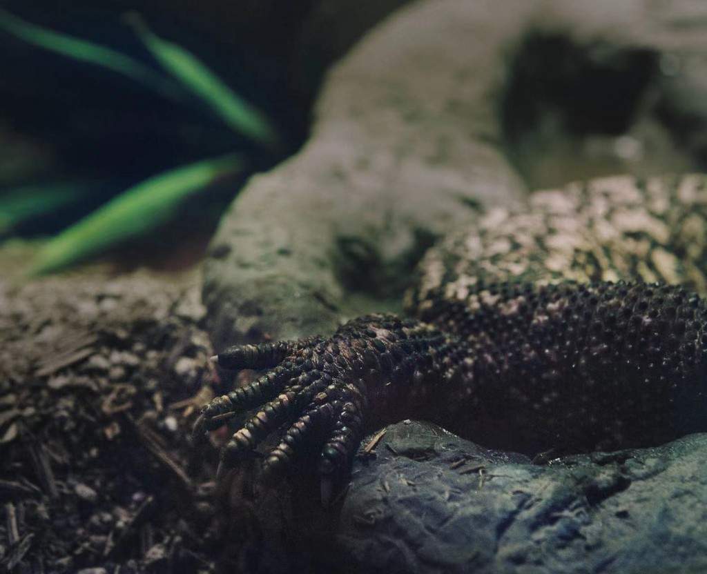 另一种幽灵学｜张文心的艺术旅程全攻略(图9)