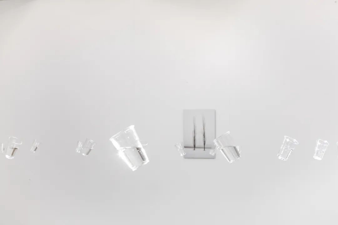 杨沛铿：植物与水族中的情感隐喻｜艺术创作核心技巧(图8)