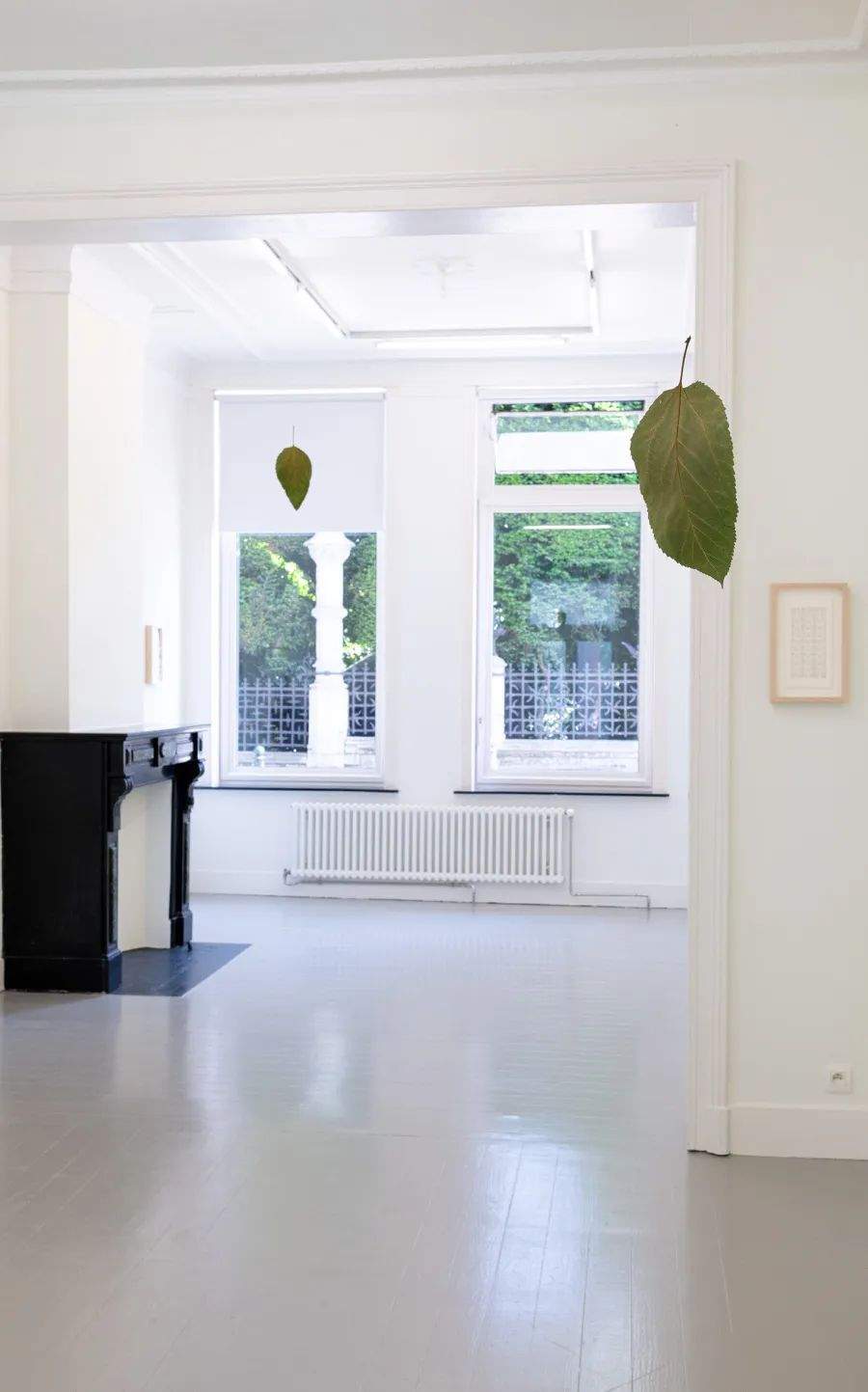 杨沛铿：植物与水族中的情感隐喻｜艺术创作核心技巧(图9)