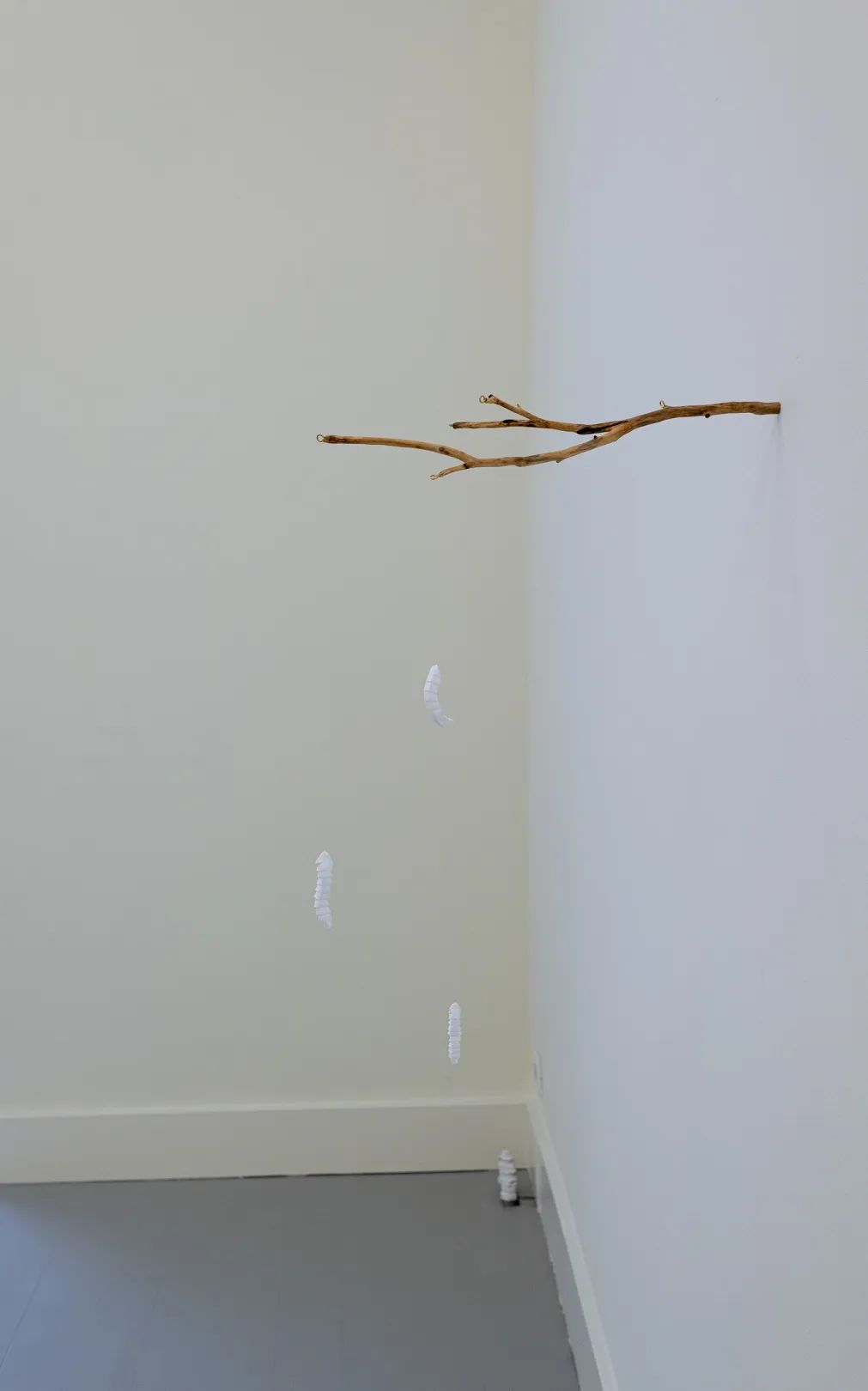 杨沛铿：植物与水族中的情感隐喻｜艺术创作核心技巧(图10)