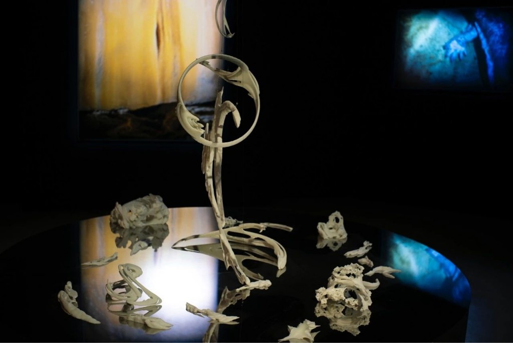 另一种幽灵学｜张文心的艺术旅程全攻略(图2)