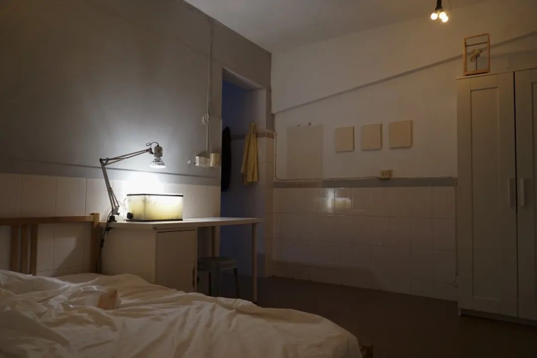 杨沛铿：植物与水族中的情感隐喻｜艺术创作核心技巧(图12)