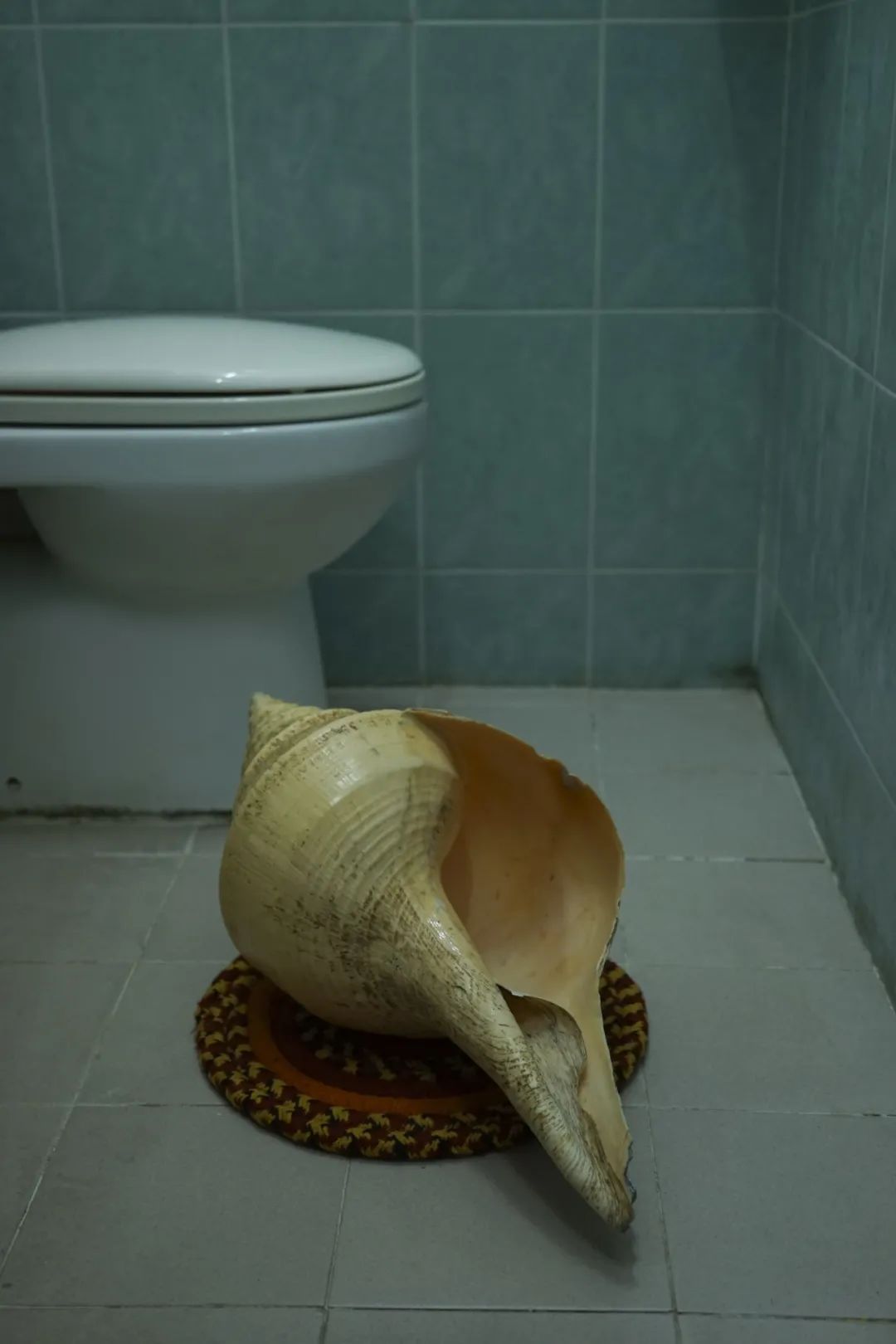 杨沛铿：植物与水族中的情感隐喻｜艺术创作核心技巧(图13)