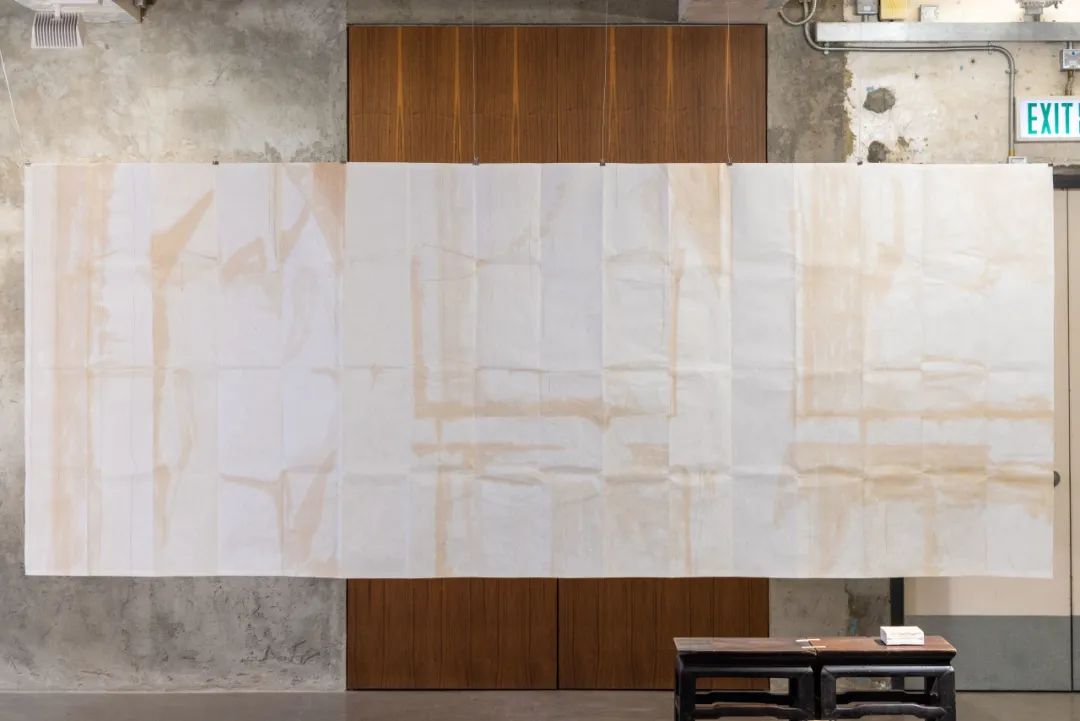 杨沛铿：植物与水族中的情感隐喻｜艺术创作核心技巧(图14)