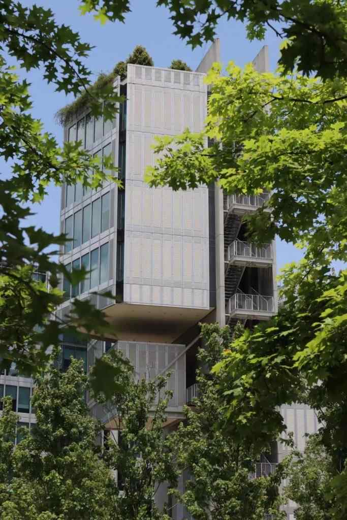 永续之籽教育计划｜探索人与万物共生的艺术实践(图3)