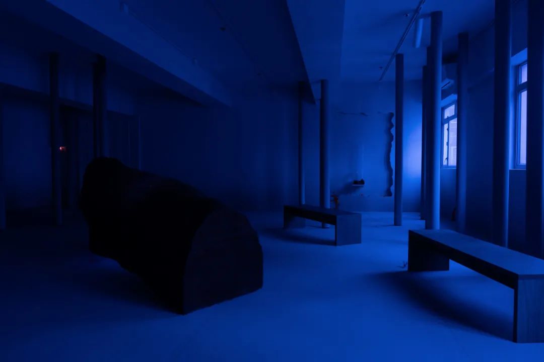 杨沛铿：植物与水族中的情感隐喻｜艺术创作核心技巧(图15)