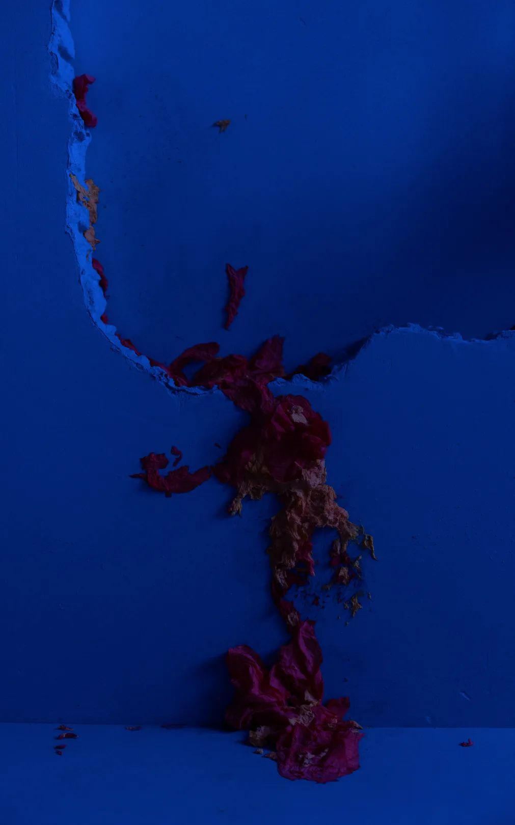 杨沛铿：植物与水族中的情感隐喻｜艺术创作核心技巧(图17)