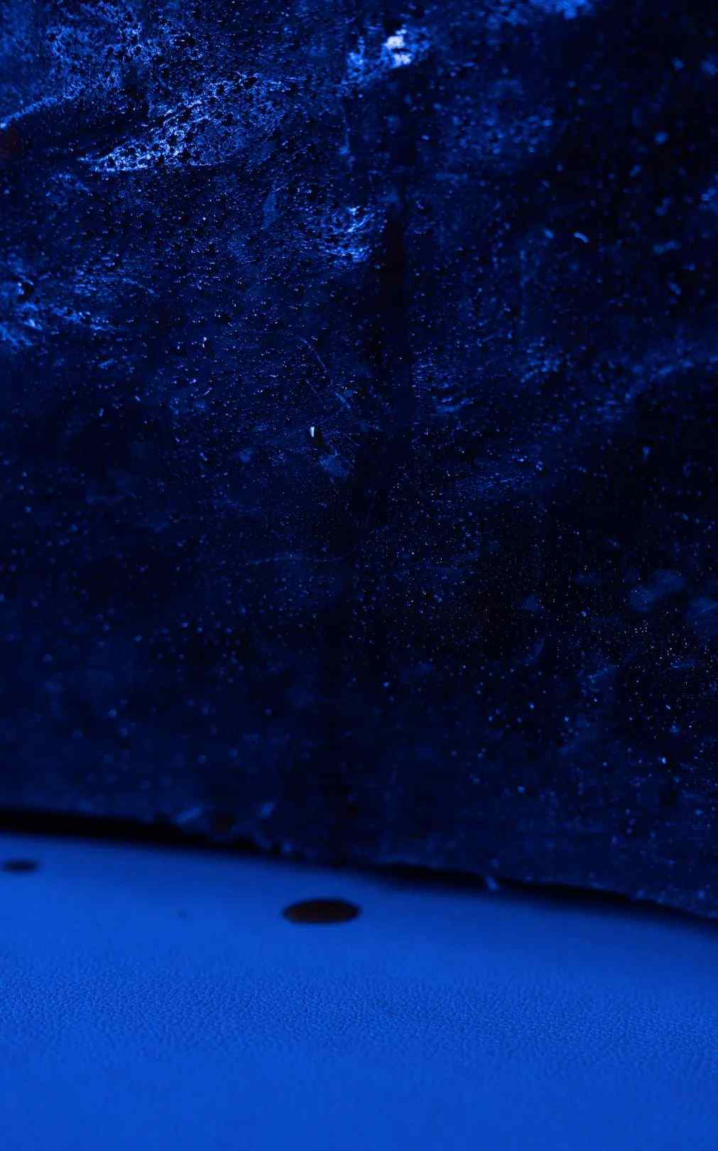 杨沛铿：植物与水族中的情感隐喻｜艺术创作核心技巧(图16)