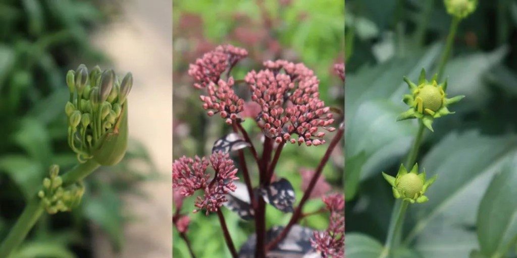 永续之籽教育计划｜探索人与万物共生的艺术实践(图4)