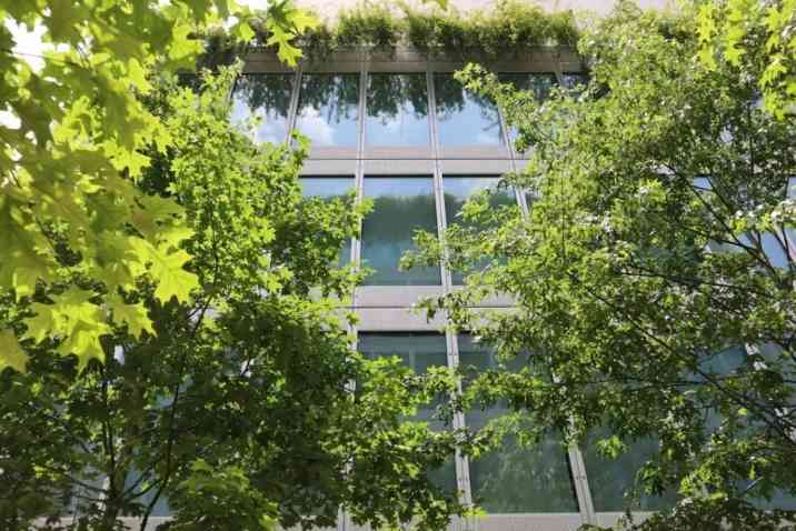 永续之籽教育计划｜探索人与万物共生的艺术实践(图5)