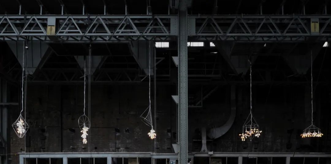 杨沛铿：植物与水族中的情感隐喻｜艺术创作核心技巧(图21)