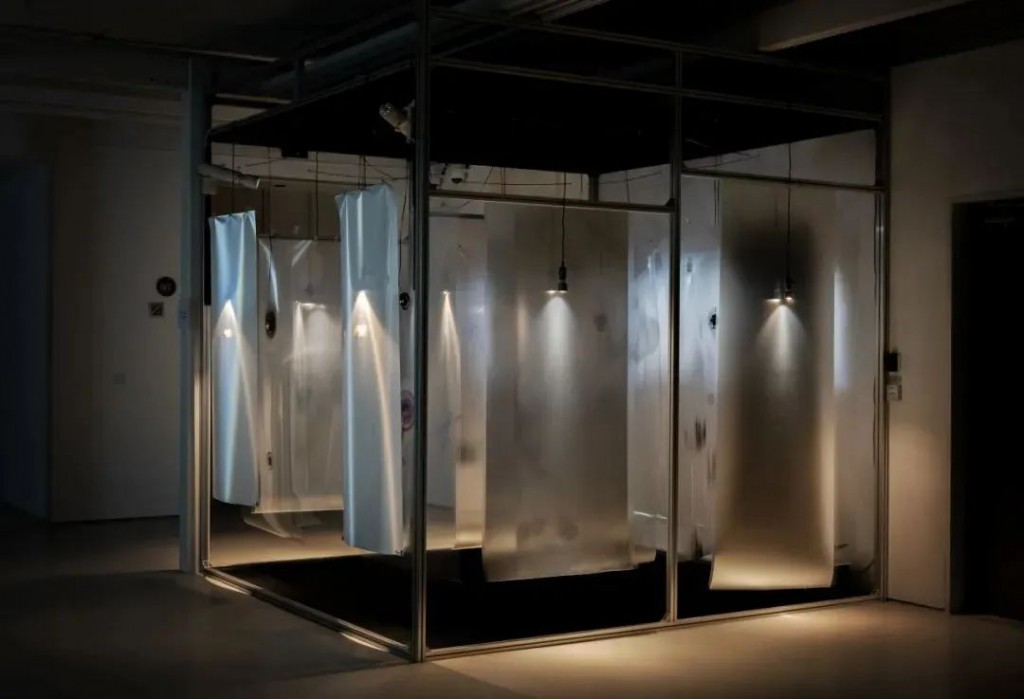 另一种幽灵学｜张文心的艺术旅程全攻略(图17)