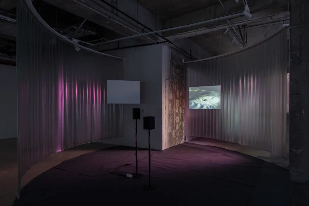 郑源个展“最小限度的”｜影像中的精神转向全攻略(图4)