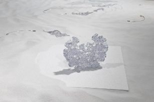 另一种幽灵学｜张文心的艺术旅程全攻略(图20)