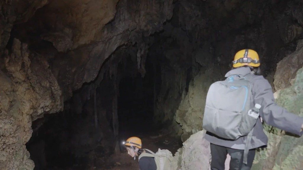 另一种幽灵学｜张文心的艺术旅程全攻略(图21)