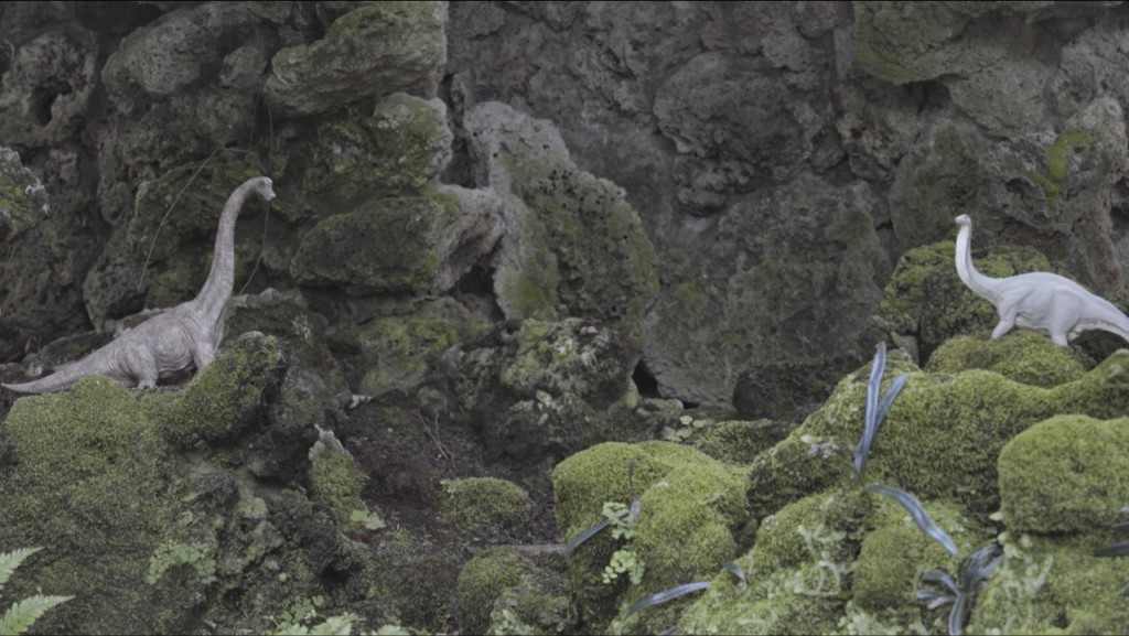 郑源个展“最小限度的”｜影像中的精神转向全攻略(图13)