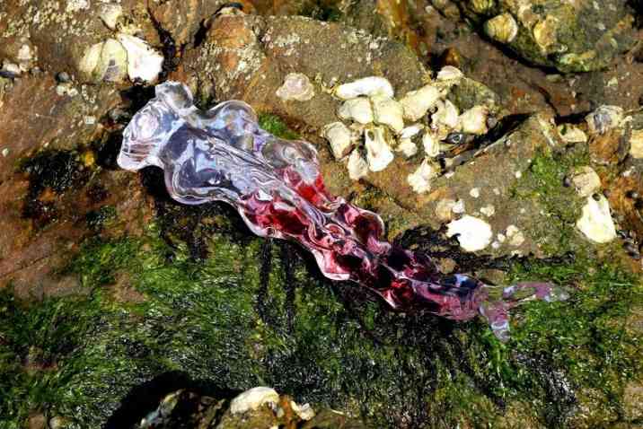 生态艺术创作新视野｜万物纪系列展览全攻略(图2)