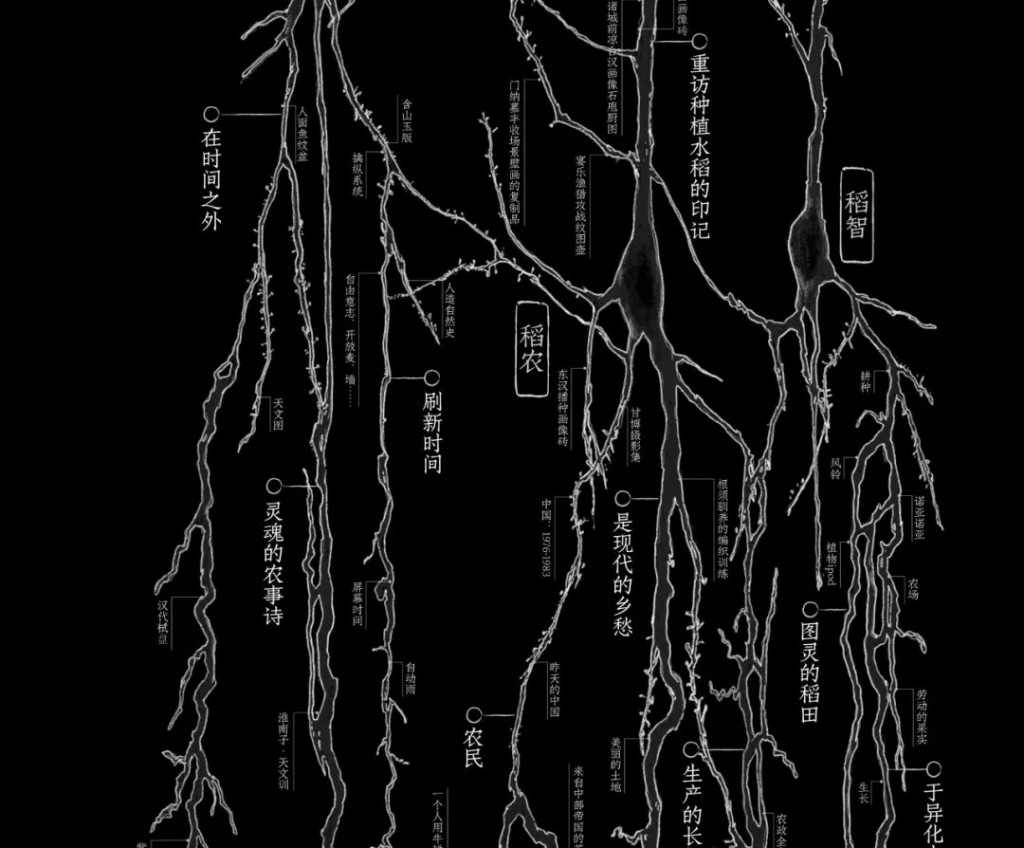 生态艺术创作新视野｜万物纪系列展览全攻略(图3)
