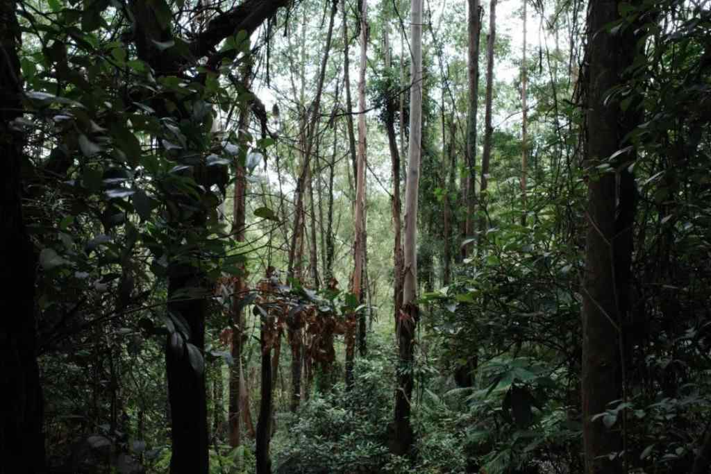 生态艺术创作新视野｜万物纪系列展览全攻略(图4)