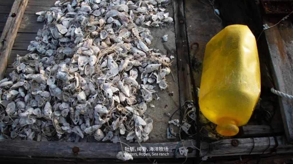 生态艺术创作新视野｜万物纪系列展览全攻略(图6)