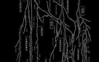 生态艺术创作新视野｜万物纪系列展览全攻略