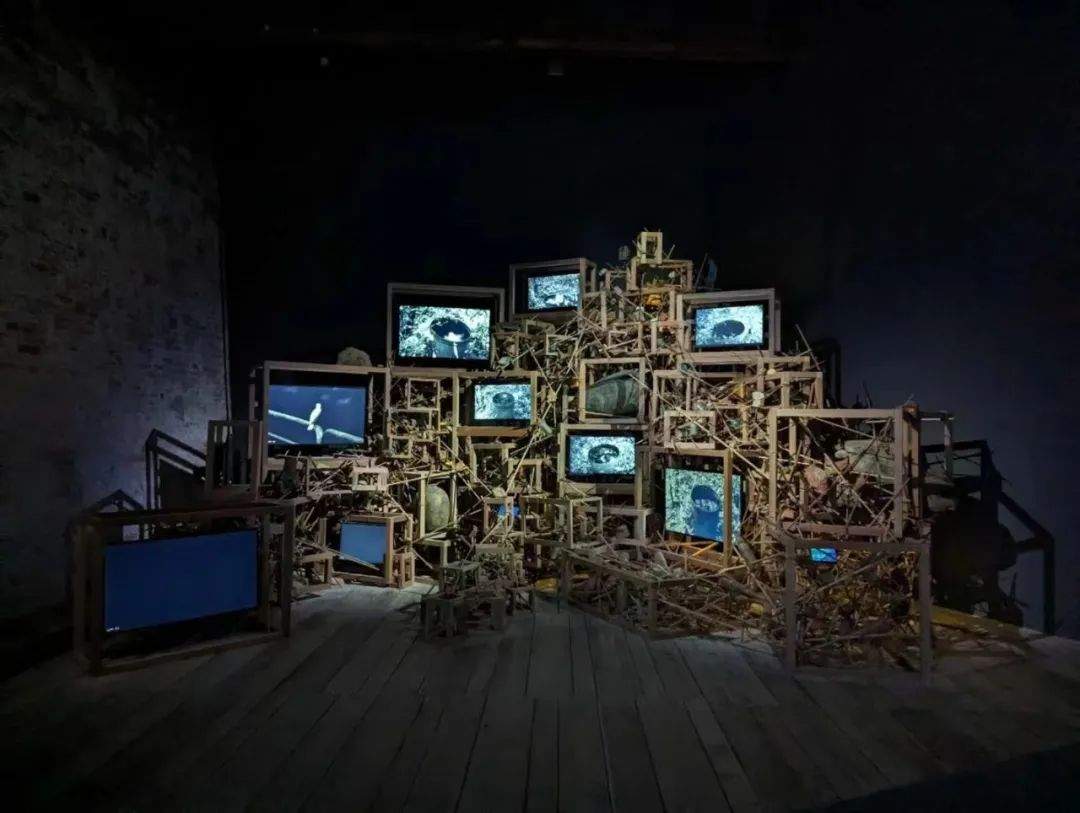 威尼斯双年展国家馆：身份认同与去殖民之声｜艺术回应全攻略(图13)