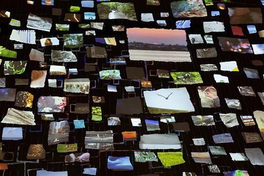 莎拉·施：用日常物品创造沉浸式艺术世界｜创作技巧全攻略(图3)