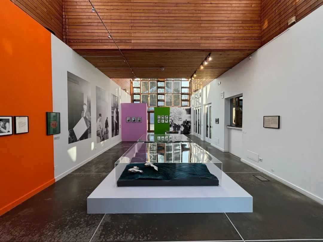 从贫穷艺术到生态艺术｜吉拉迪的跨界之路(图2)