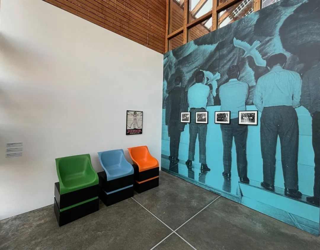 从贫穷艺术到生态艺术｜吉拉迪的跨界之路(图4)