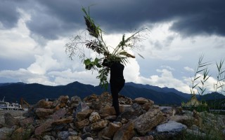 去未知的道路，拥抱田野