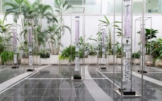 Year Ahead | 与疫苗时间赛跑